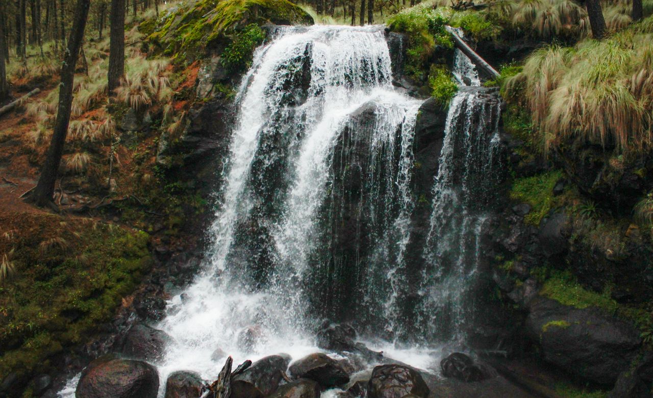 A stunning waterfall cascades in the lush forests of the State of Mexico.